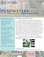 Image of issue cover with unreadable text.